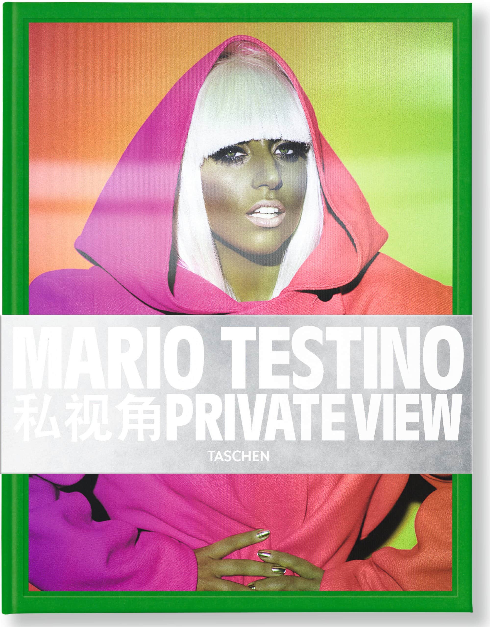Mario Testino, private view